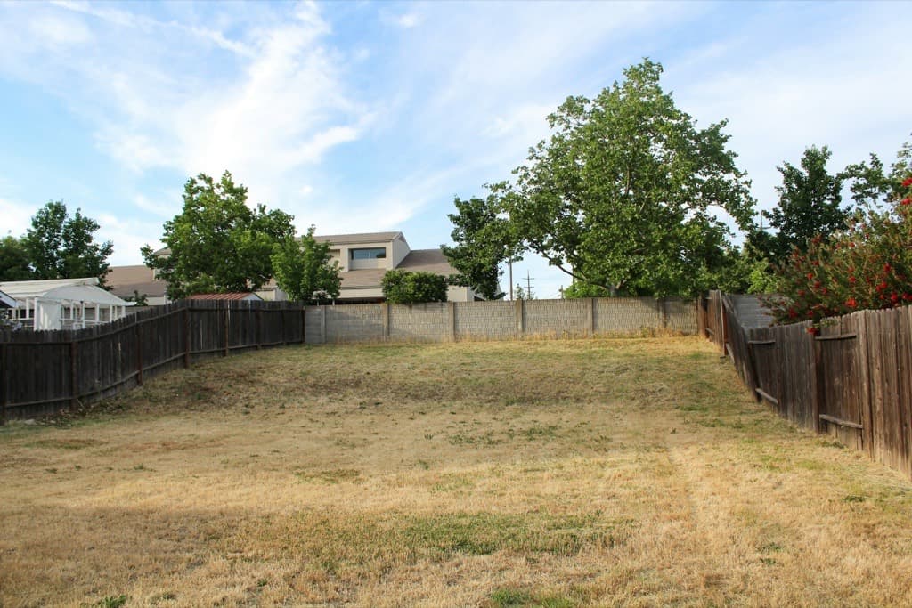 Garden before redesign